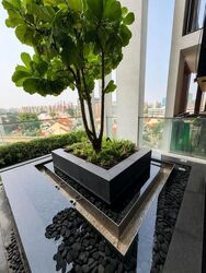 Botanique At Bartley (D19), Condominium #613837431